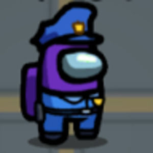 Meet your Posher, Anu